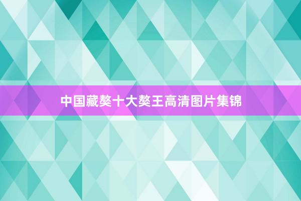 中国藏獒十大獒王高清图片集锦