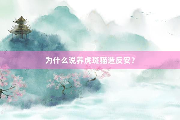为什么说养虎斑猫造反安？