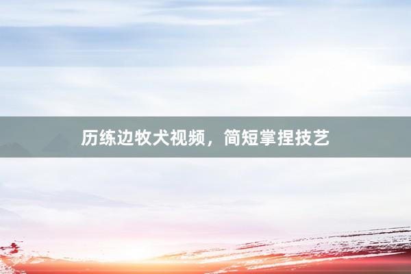 历练边牧犬视频，简短掌捏技艺